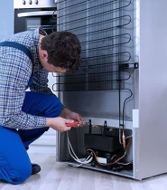 refrigirator reparing expert technician